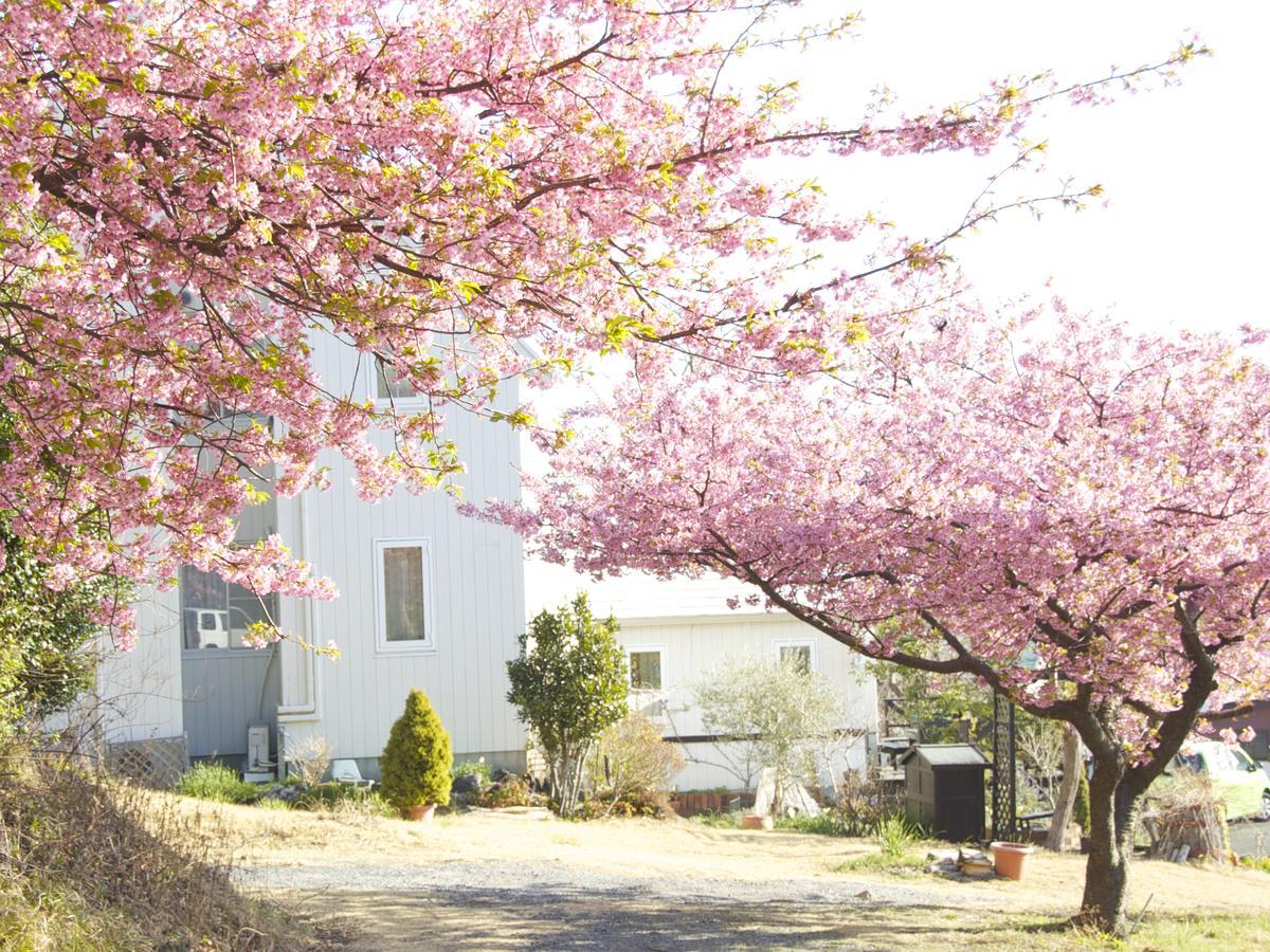 Country Inn Galley อิโตะ ภายนอก รูปภาพ